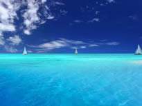 尊龙凯时人生就是搏·(中国区)官方网站